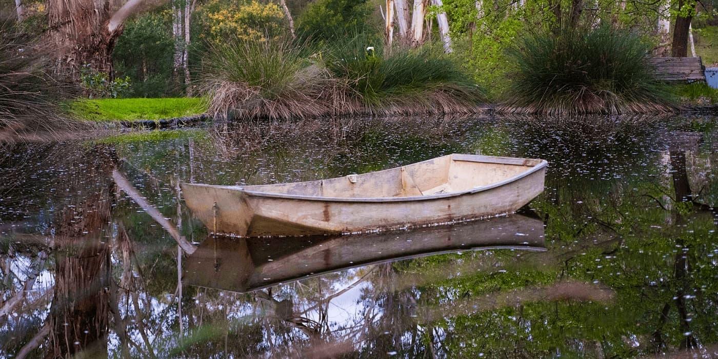 Peaceful pond and native garden at Dark Horse Café